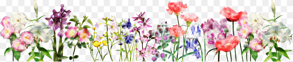 Flower Header Clipart Picture Royalty Download Spring Flower Banner Transparent, Plant, Art, Graphics, Floral Design Free Png
