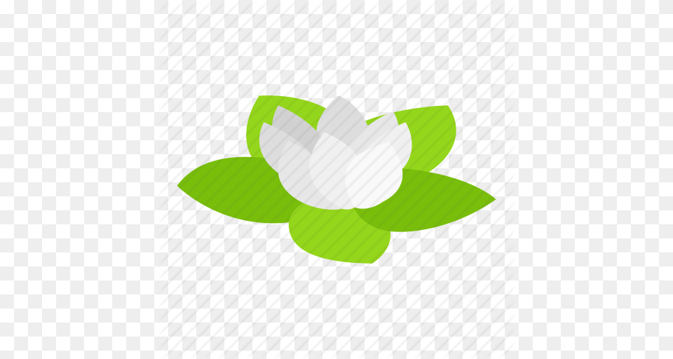 Flower Health Isometric Lotus Nature Spa Yoga Icon, Plant, Anemone, Leaf, Sea Life Free Png Download