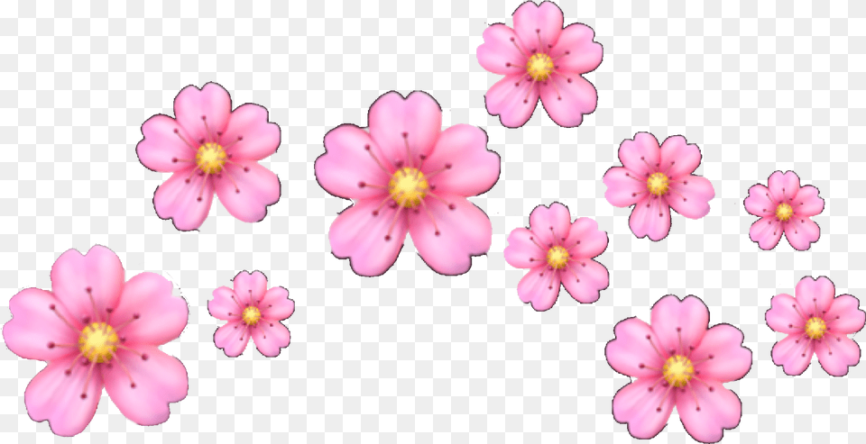 Flower Heartcrown Flowercrown Pink Floweremoji Iphone Pink Flower Emoji, Anther, Geranium, Petal, Plant Png Image