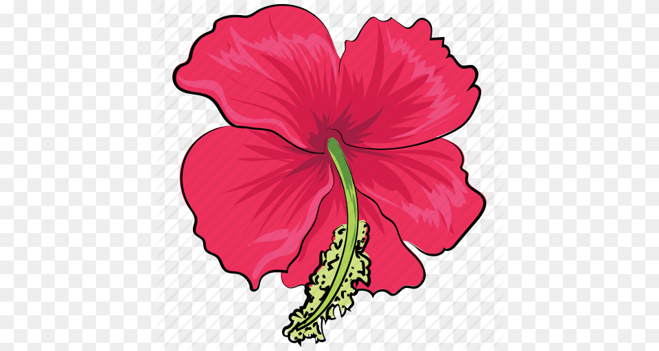 Flower Hibiscus Hibiscus Flower Rhododendron Rhododendron, Plant Png