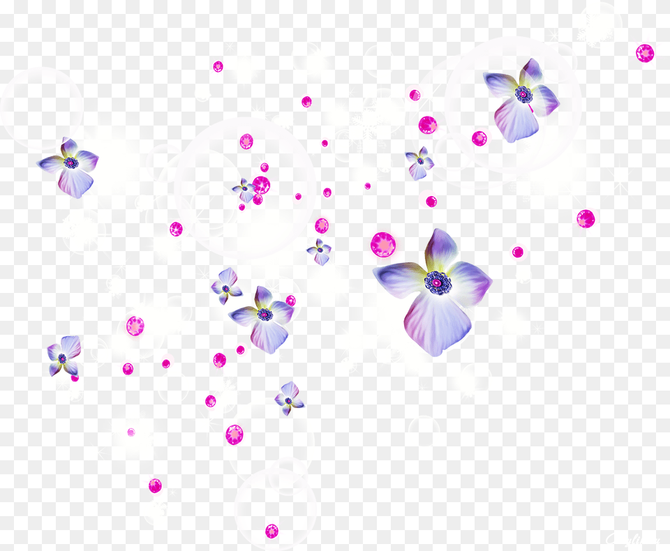 Flower Holi Wallpaper Desktop Hd Clipart, Petal, Plant, Paper Free Png Download
