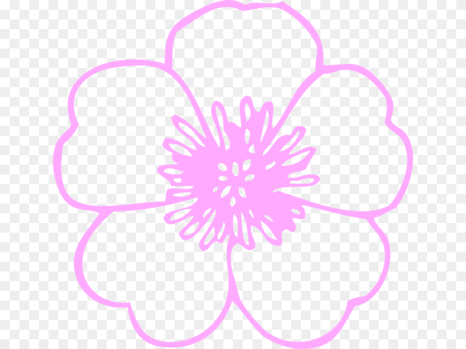 Flower Huge Petals Fresh Pink White Flower Clip Art, Anemone, Anther, Dahlia, Petal Png Image