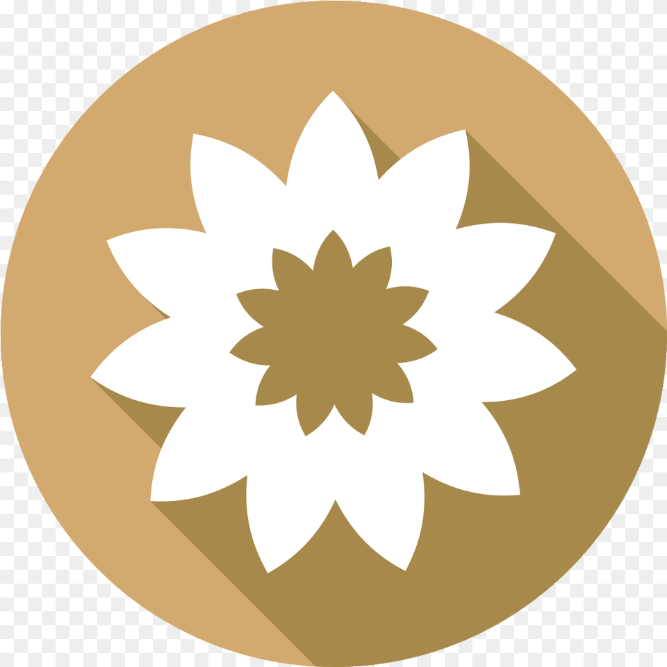 Flower Icon With Decorative, Dahlia, Plant, Leaf, Daisy Free Png