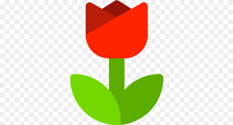 Flower Icon Of Colocons Vertical, Plant, Petal, Tulip, Leaf Free Png