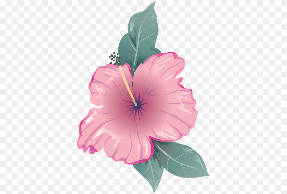 Flower Icon Symbol Flower Icon Pink, Plant, Hibiscus, Baby, Person Png Image
