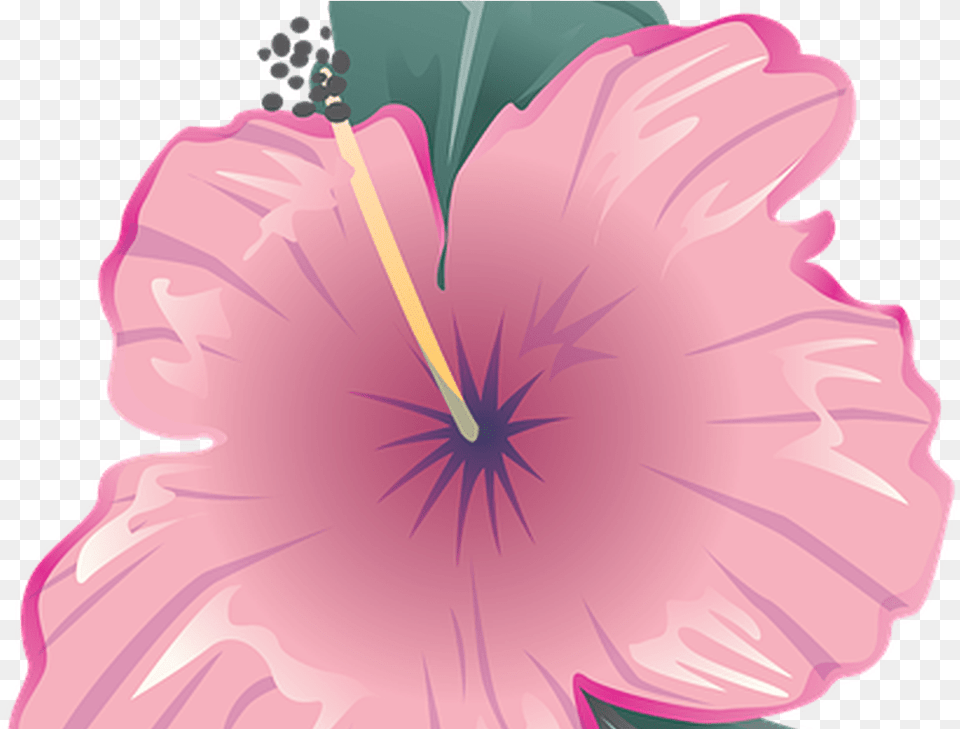 Flower Icon Symbol Image On Pixabay Bunga Icon Pink, Hibiscus, Plant, Anther, Person Png