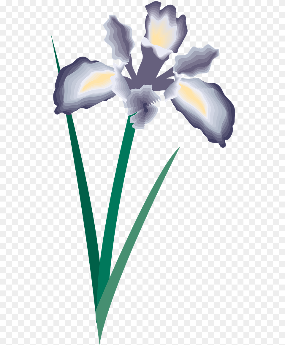 Flower Icon Symbol Image On Pixabay Clipart Decoration, Iris, Plant, Petal Free Png Download