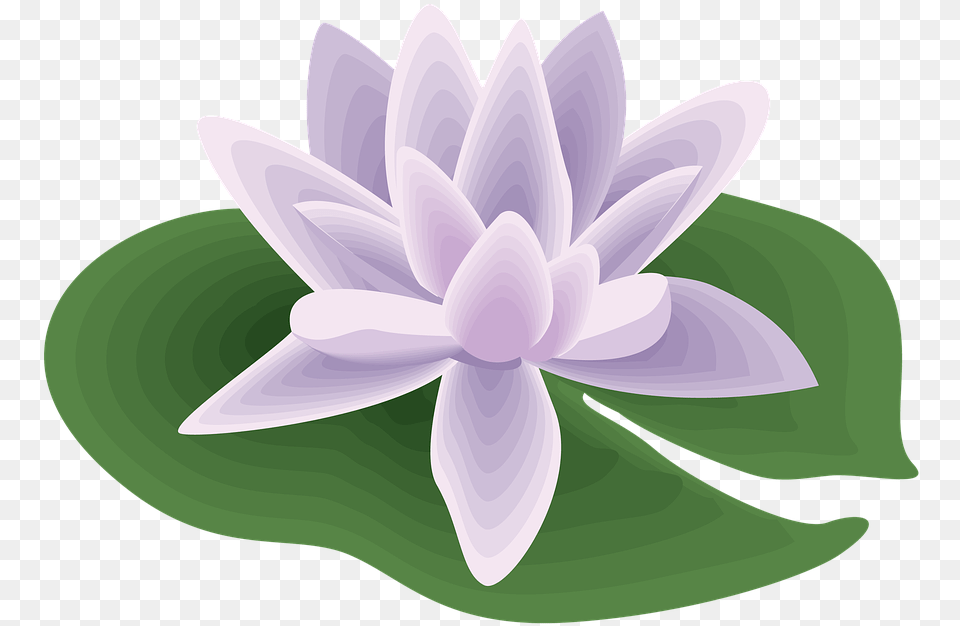 Flower Icon Symbol Image On Pixabay Lily Pad Clip Art, Plant, Dahlia, Pond Lily, Petal Free Transparent Png