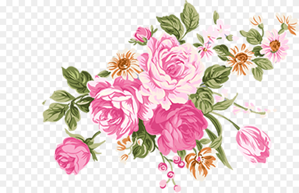 Flower Illustrations Of Rose High Definition Material Flower Illustration Vector, Art, Floral Design, Graphics, Pattern Free Png Download