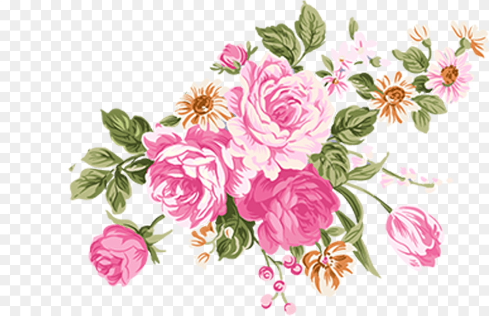 Flower Illustrations Of Rose High Definition Material Vector Flower Illustration, Art, Floral Design, Graphics, Pattern Free Transparent Png