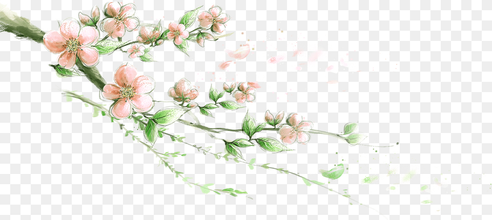Flower Image 4k, Art, Floral Design, Graphics, Pattern Free Transparent Png