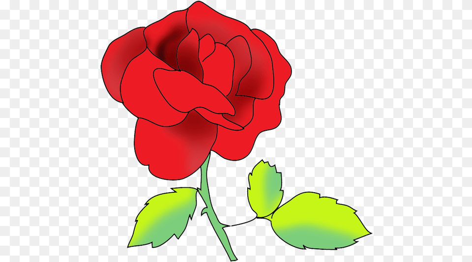 Flower Image Gallery Red Rose Drawing, Plant, Dynamite, Weapon Png