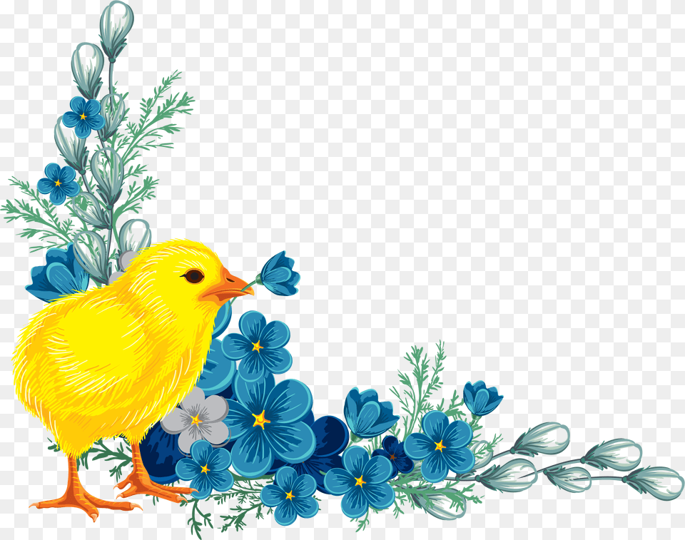 Flower Images Vector Flowers Watercolor Pencils Blue Flowers Transparent, Animal, Bird, Canary Png