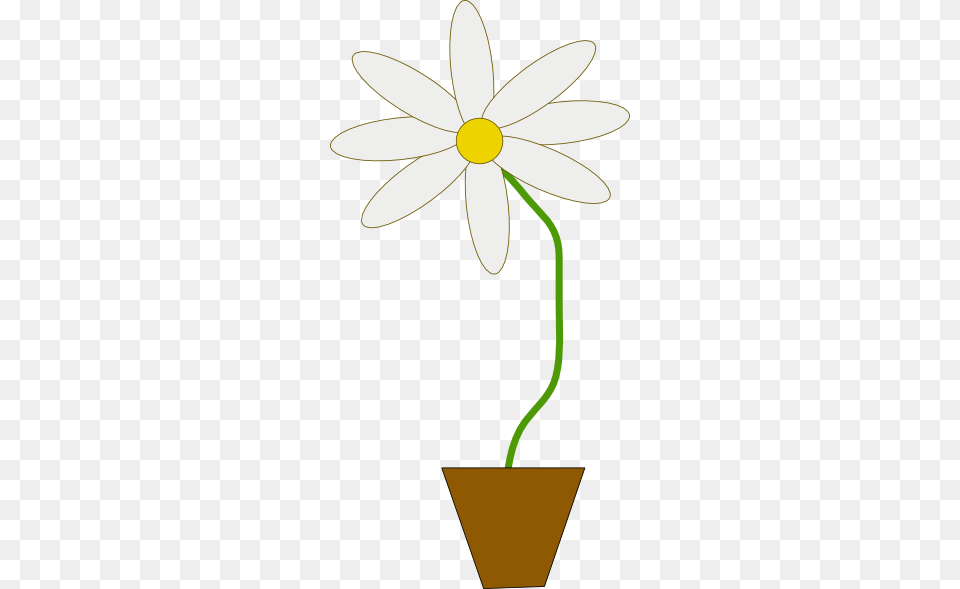 Flower In A Pot Clip Art, Daisy, Plant, Petal, Appliance Free Transparent Png