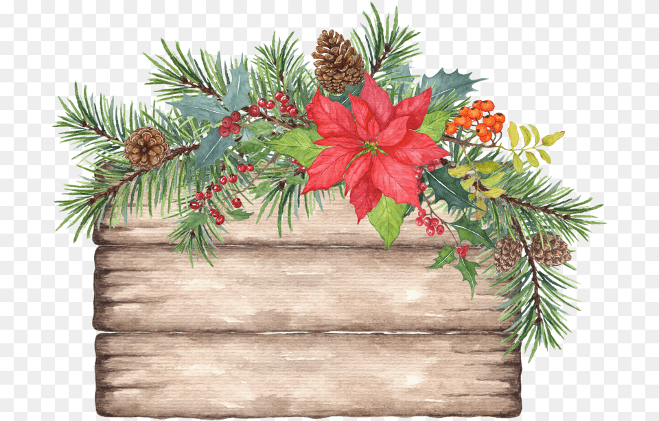 Flower In Crate For Holiday, Conifer, Tree, Potted Plant, Plant Free Transparent Png