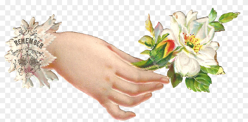 Flower In Hand, Wrist, Body Part, Person, Plant Free Png Download