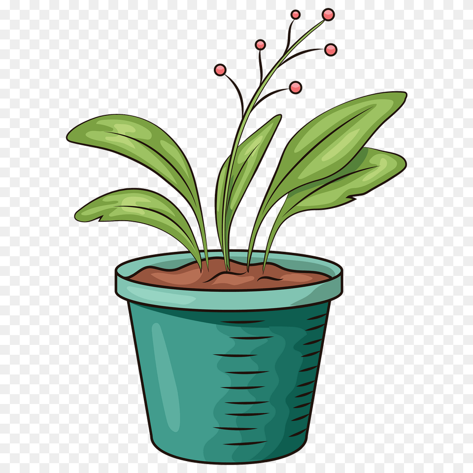 Flower In Pot Clipart, Plant, Potted Plant, Leaf Free Png