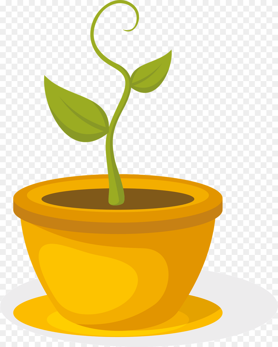 Flower In Pot Clipart, Leaf, Plant, Potted Plant, Tape Png