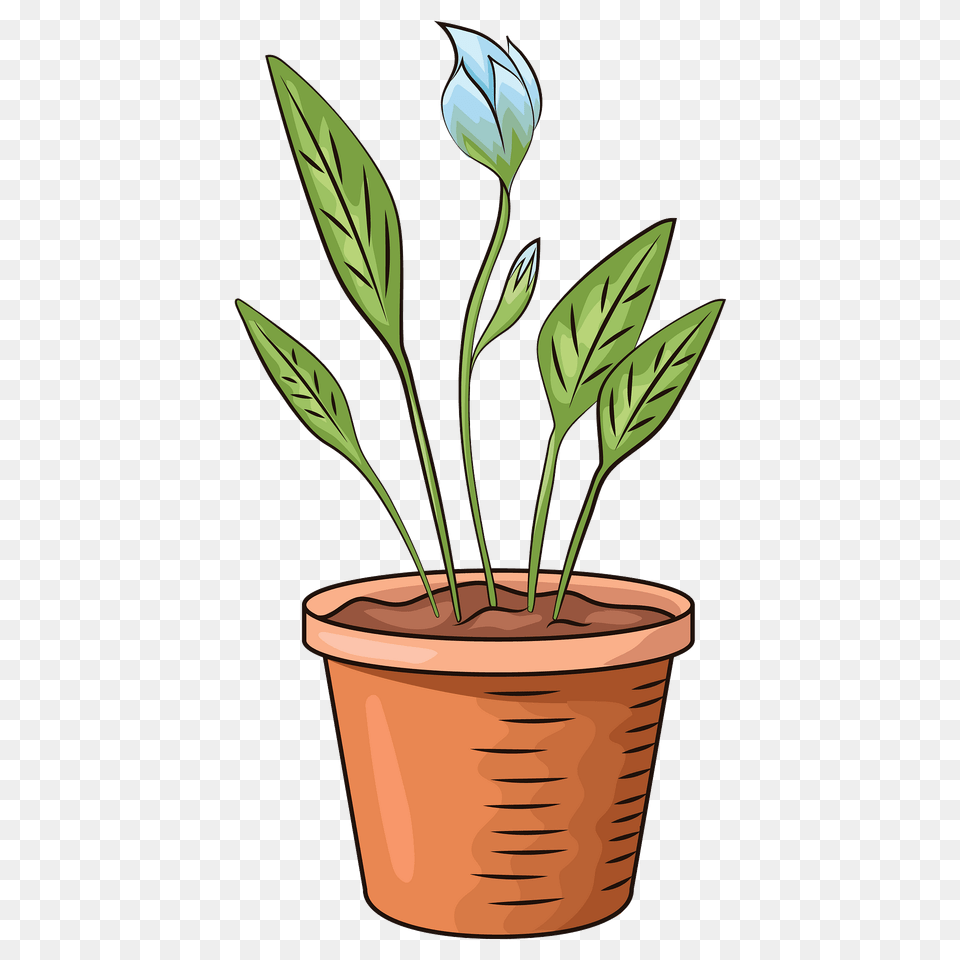 Flower In Pot Clipart, Leaf, Plant, Potted Plant Free Transparent Png
