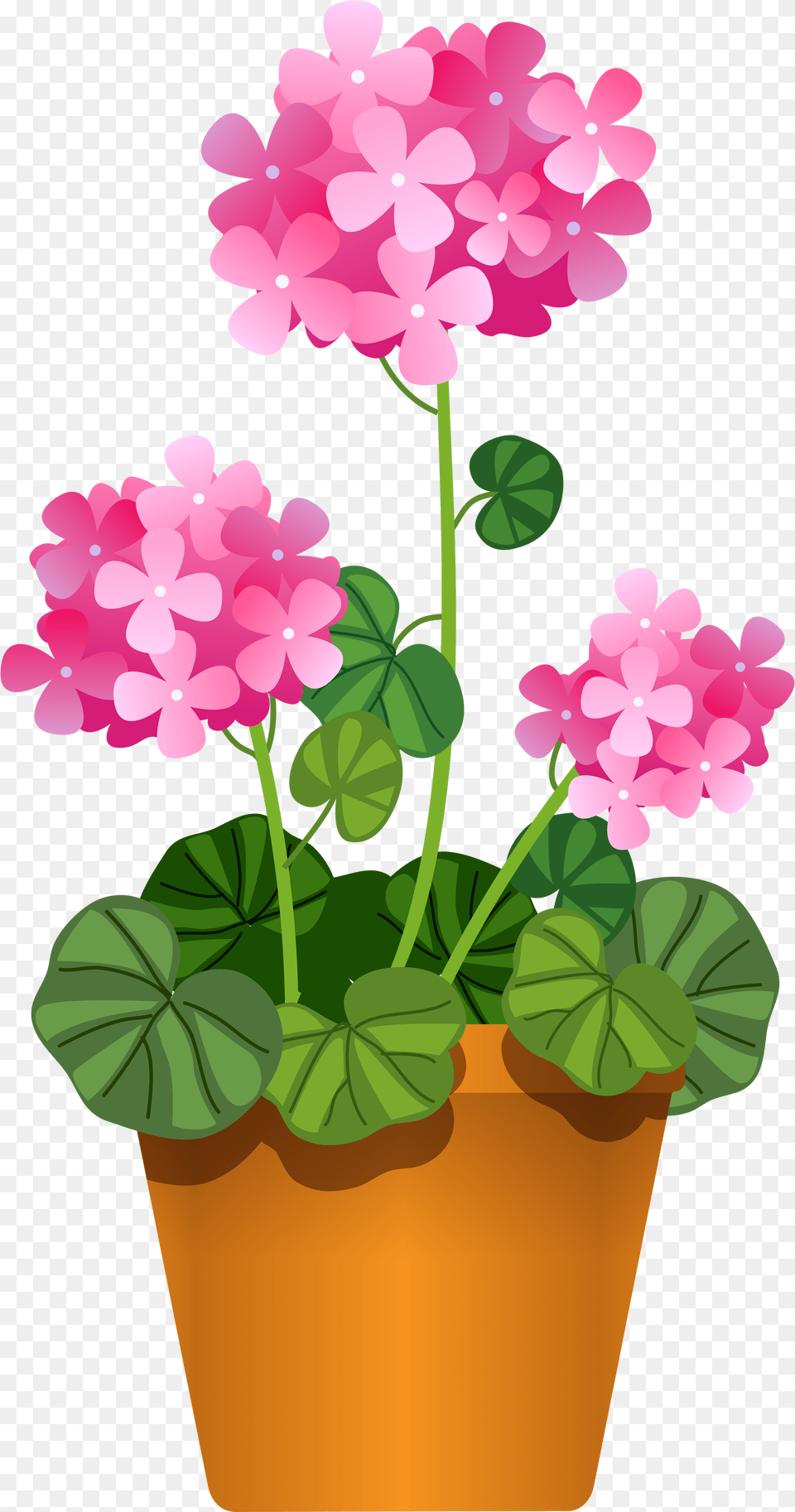 Flower In Pot Clipart, Geranium, Plant, Potted Plant Free Png