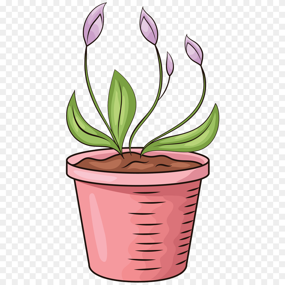 Flower In Pot Clipart, Plant, Potted Plant, Leaf, Pottery Free Png