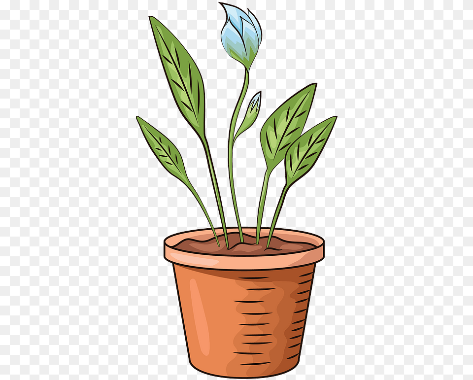 Flower In Pot Clipart Transparent Pot With Flower Transparent Clipart, Vase, Pottery, Potted Plant, Planter Png Image
