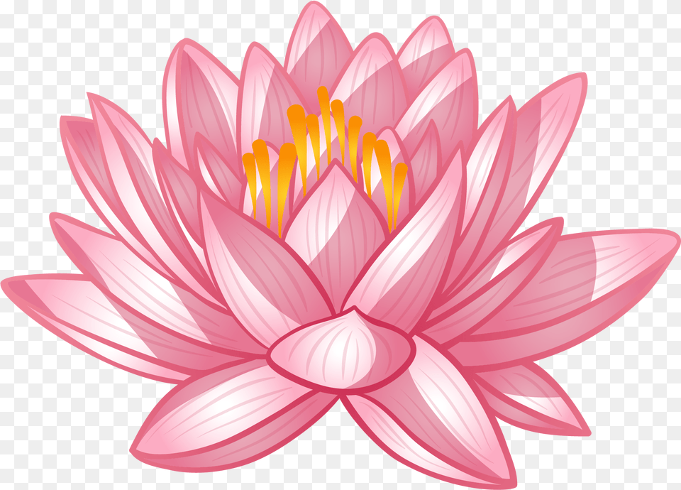 Flower In Wesak Day, Dahlia, Plant, Petal, Lily Free Transparent Png