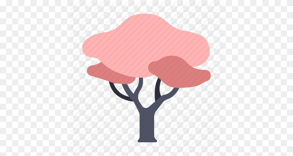 Flower Japan Nature Sakura Sakura Tree Spring Tree Icon, Plant, Art, Painting, Person Free Png