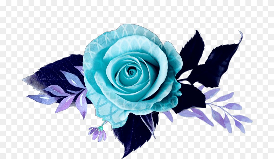 Flower Lace Lace Flower Rose Blue Purple Pink Flower, Art, Graphics, Plant, Flower Arrangement Free Png