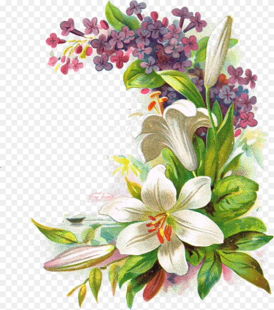 Flower Layers Floral Design, Plant, Art, Floral Design, Graphics Free Transparent Png