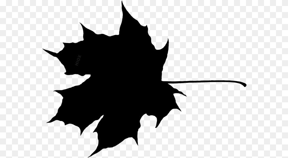 Flower Leaf Clipart For Autumn Leaves, Plant, Maple Leaf, Person, Tree Png Image