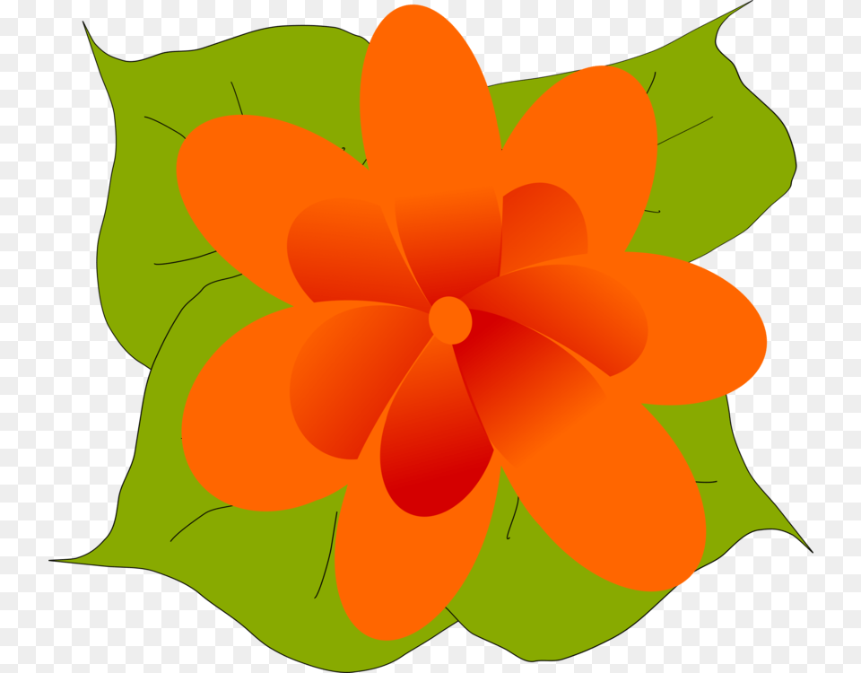 Flower Leaf Plants Orange Bud, Art, Floral Design, Graphics, Pattern Free Transparent Png