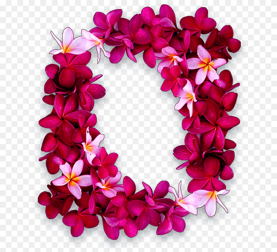 Flower Lei Clip Art Freeuse Hawaii, Accessories, Flower Arrangement, Ornament, Plant Free Png Download