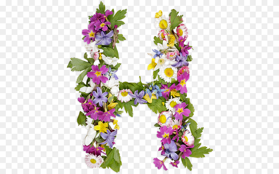 Flower Letters Font Letters With Flowers Font, Accessories, Flower Arrangement, Ornament, Plant Free Png