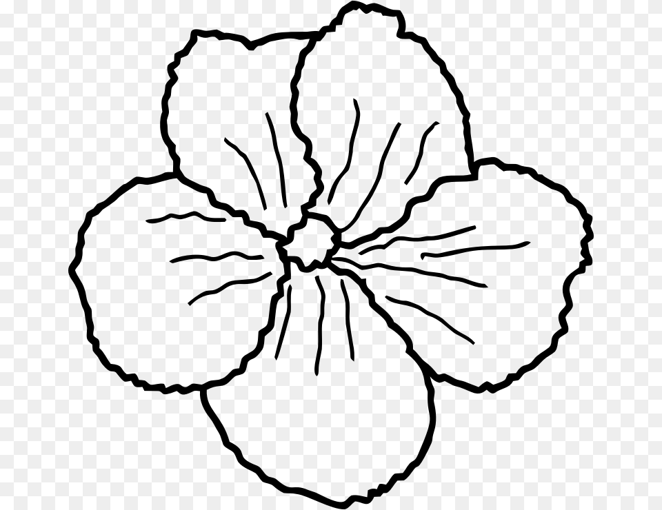 Flower Line Art Portable Network Graphics, Gray Png Image