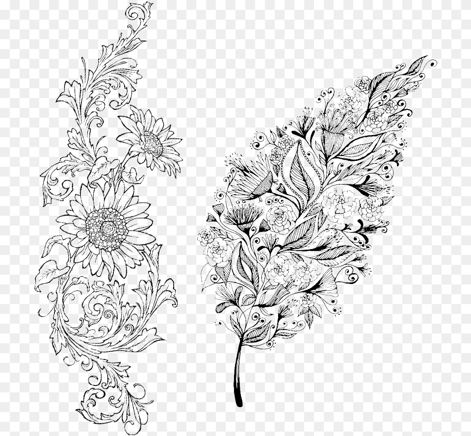 Flower Line Transprent Download Line Art, Lace, Plant Free Png