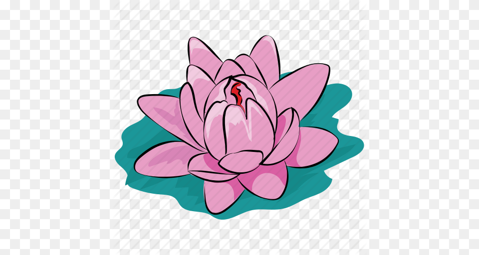 Flower Lotus Lotus Flower Pond Summer Water Waterlily Icon, Dahlia, Plant, Lily, Pond Lily Free Png
