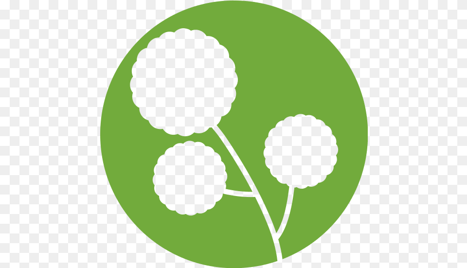 Flower Natural Icon Dot, Green, Leaf, Plant, Sphere Free Transparent Png