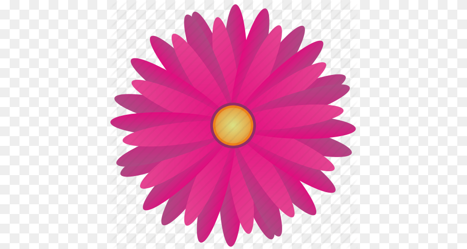Flower Nature Plant Spring Icon, Dahlia, Daisy, Petal Png Image