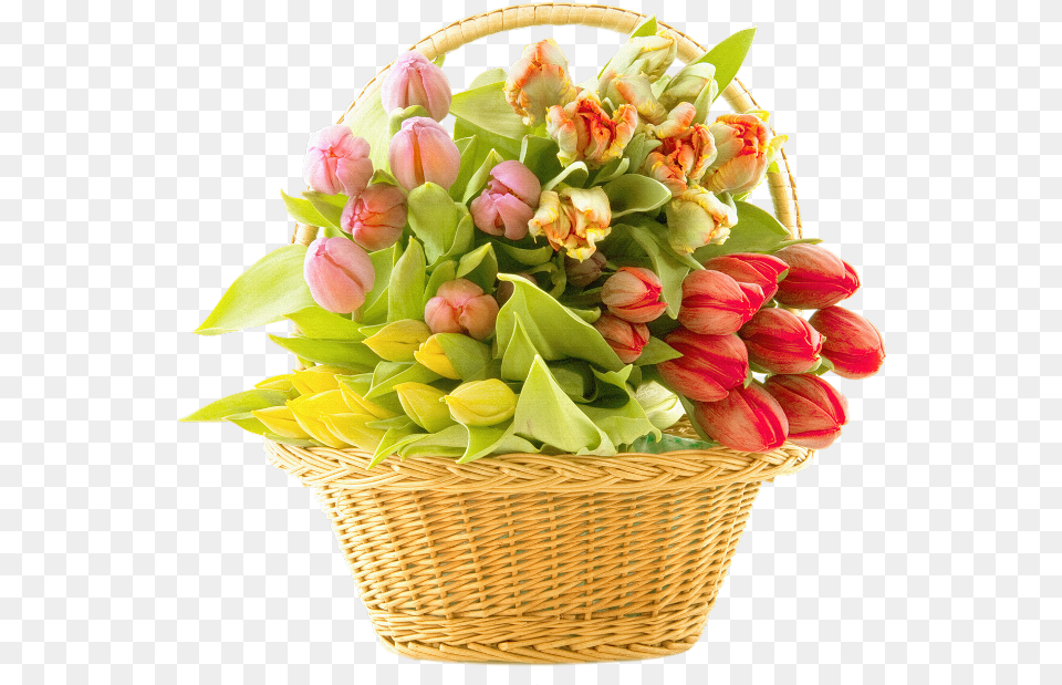 Flower Of Basket, Flower Arrangement, Flower Bouquet, Plant Free Png Download