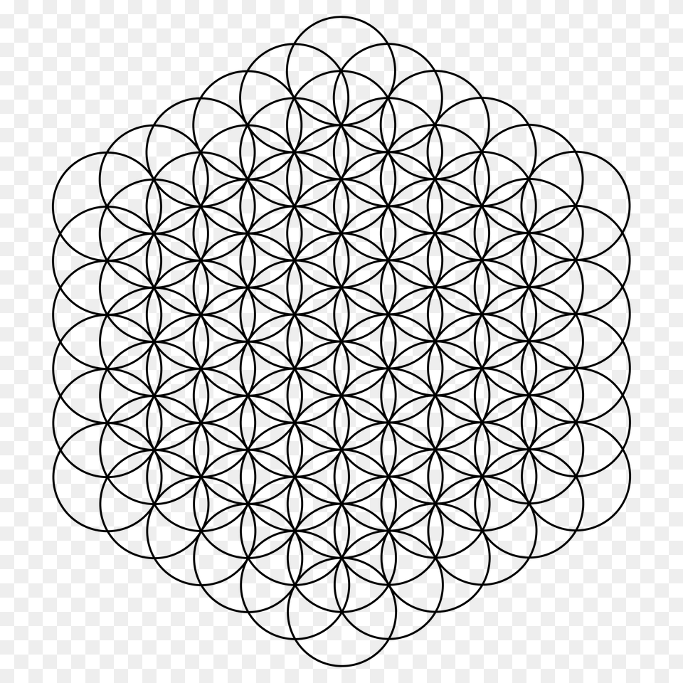 Flower Of Life Circles, Gray Free Png Download