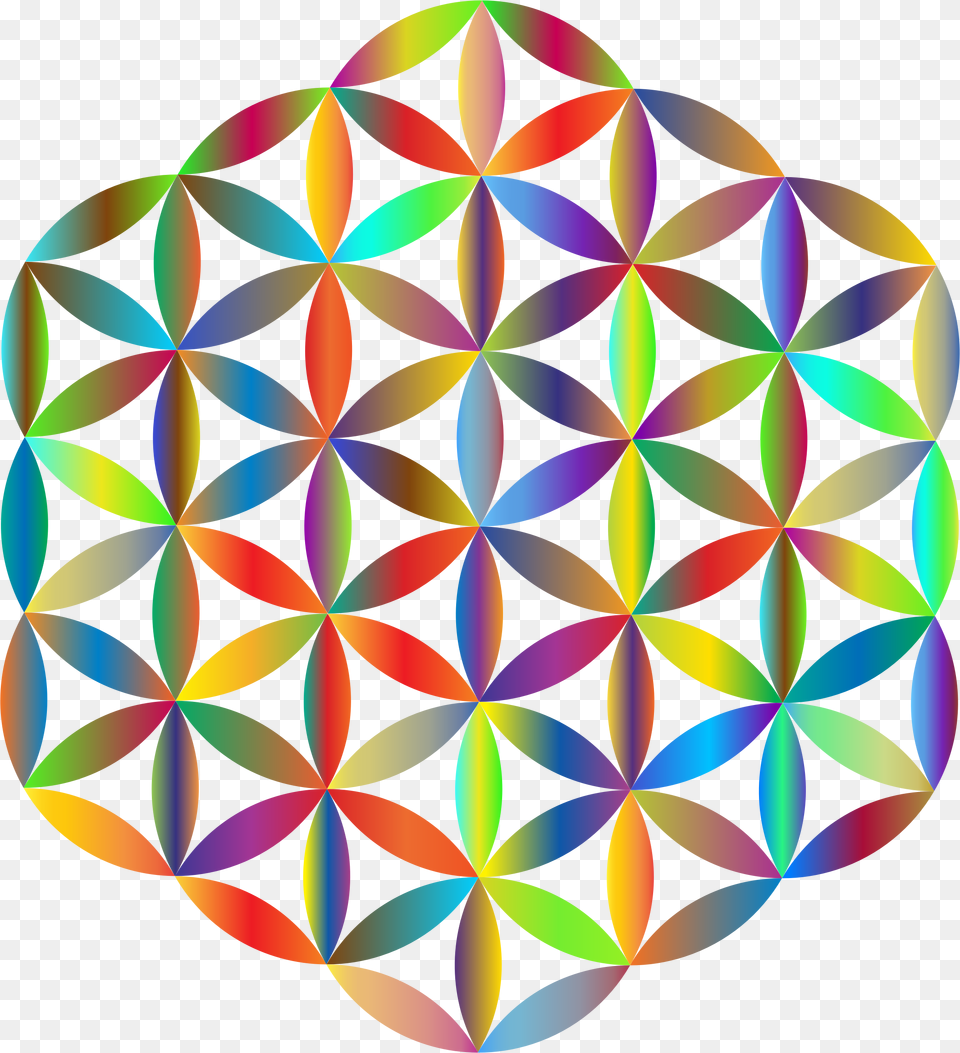 Flower Of Life Color, Pattern, Sphere, Accessories, Fractal Png Image