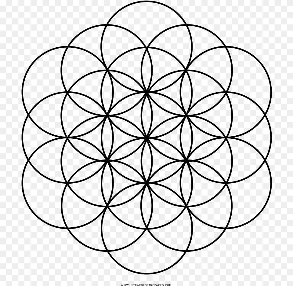 Flower Of Life Coloring, Gray Png Image