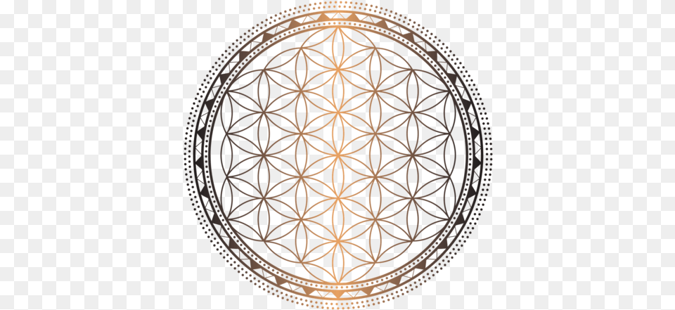 Flower Of Life Coloring Pages Eco Friendly Logo, Pattern, Home Decor, Chandelier, Lamp Free Png