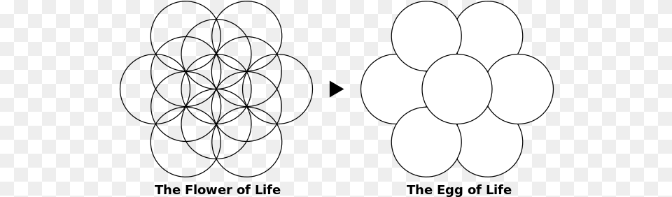 Flower Of Life Flower Egg Of Life, Sphere Free Png