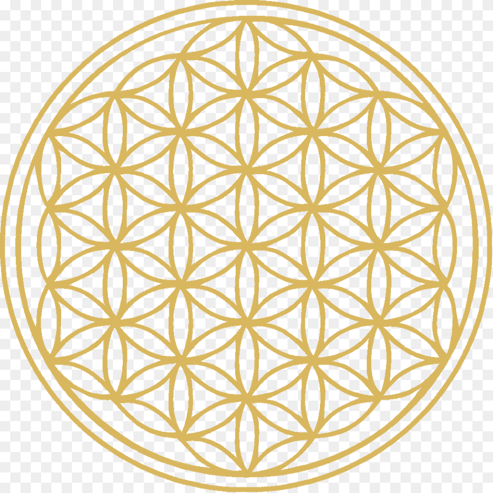 Flower Of Life Flower Of Life Large Png Image