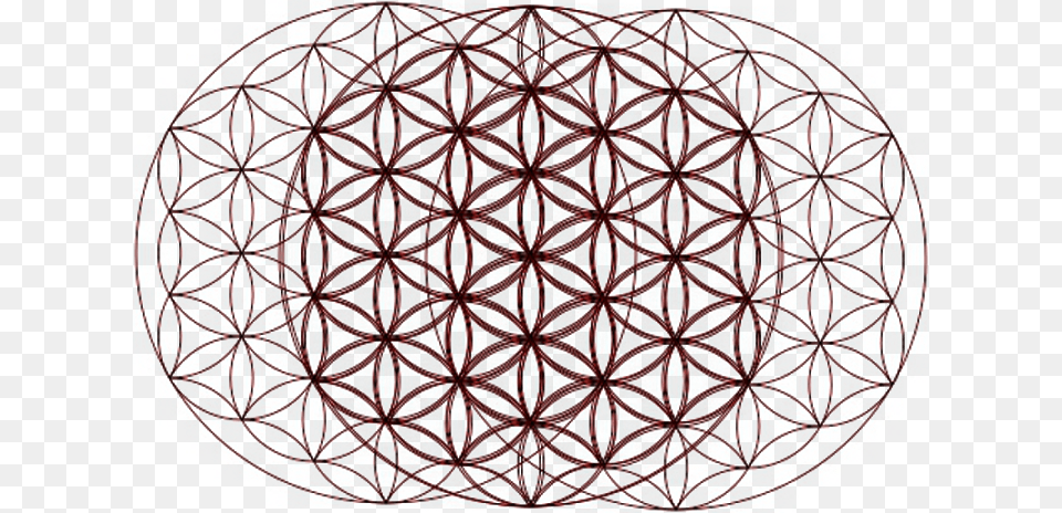 Flower Of Life Gold, Pattern, Sphere, Art, Accessories Free Png Download