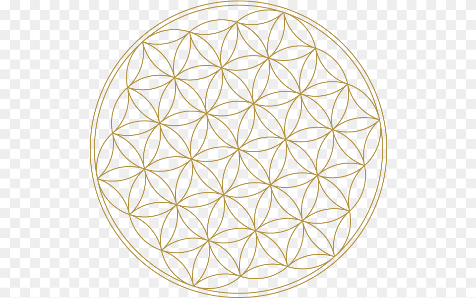 Flower Of Life High Resolution Sacred Geometry Flower Of Gold Flower Of Life, Home Decor, Pattern, Crib, Furniture Free Transparent Png