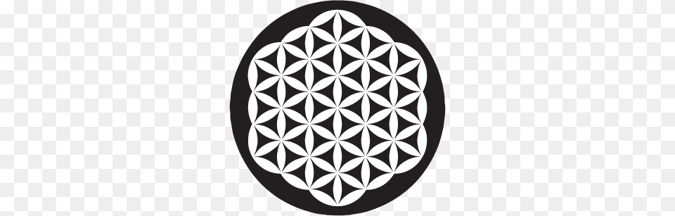 Flower Of Life Saracura, Pattern, Astronomy, Moon, Nature Free Png