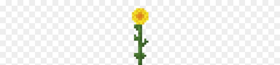 Flower Official Minecraft Wiki, Plant, Person, Sunflower, Daffodil Free Transparent Png